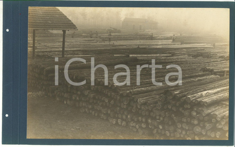 Fotografia d epoca originale 1920 ca CERIANO LAGHETTO Ditta TRANQUILLO ROSSI  Tronchi accatastati Foto 1