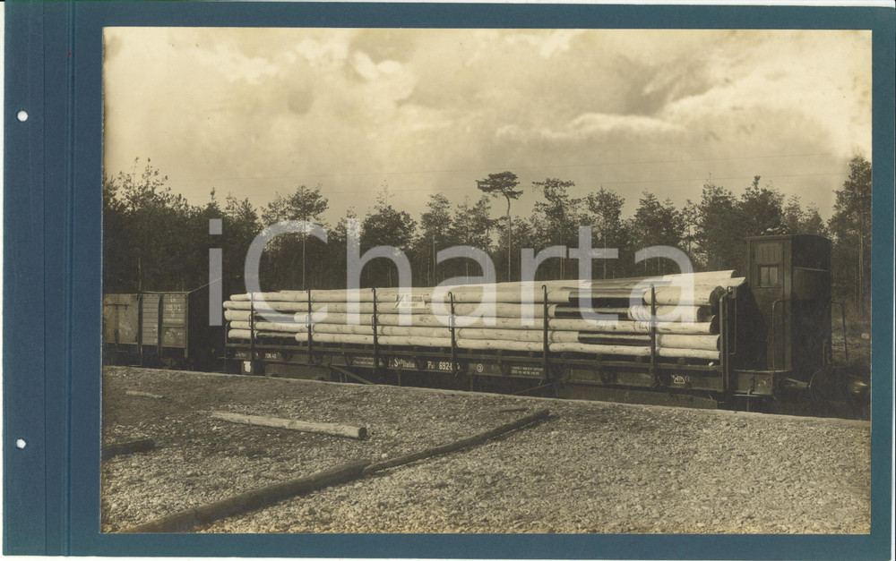 Fotografia d epoca originale 1920 ca CERIANO LAGHETTO Ditta TRANQUILLO ROSSI Trasporto ferroviario del legno 1