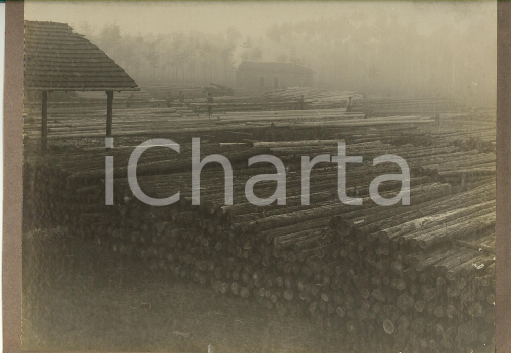 Fotografia d epoca originale 1920 ca CERIANO LAGHETTO Ditta TRANQUILLO ROSSI  Lavorazione dei tronchi  Foto 1