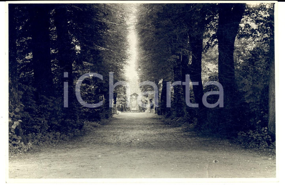 Fotografia d epoca originale 1930 ca VENEZIA Viale di ingresso a una villa di campagna Foto FIORENTINI 18x12 1