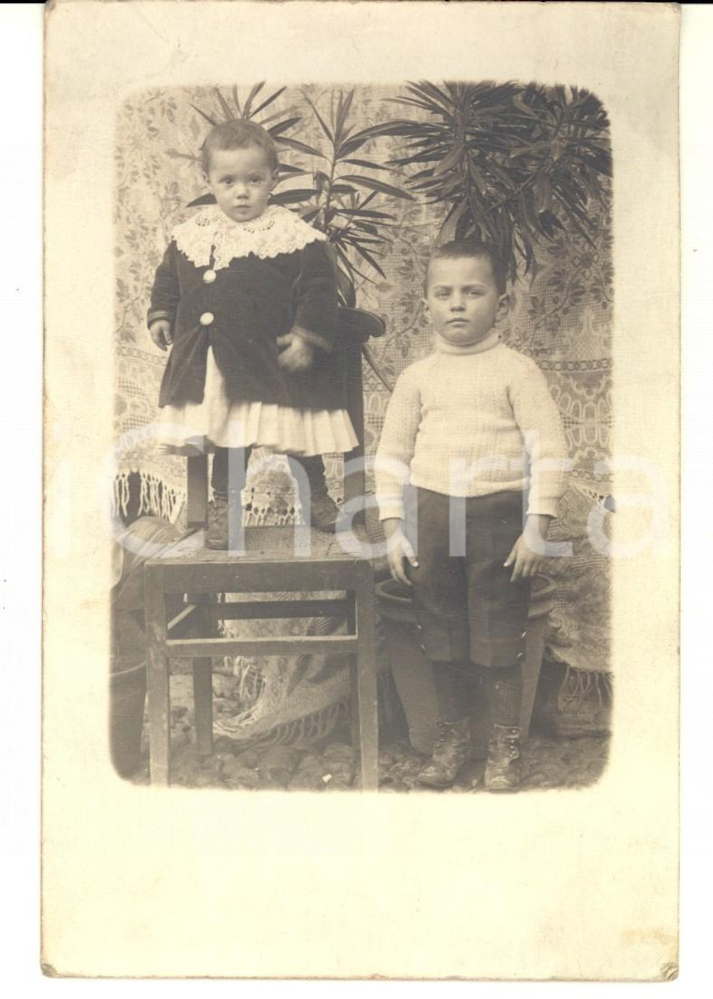 Fotografia d epoca originale 1920 ca ITALIA Ritratto di due fratellini in salotto  Foto cartolina VINTAGE 1