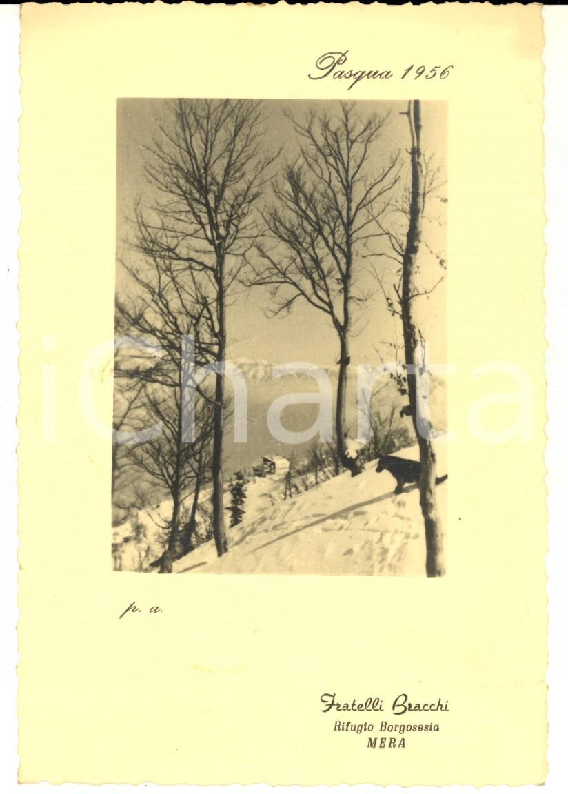 Materiale pubblicitario d’epoca Pasqua 1956 ALPE MERA Rifugio BORGOSESIA  Fratelli BRACCHI  Fotocartolina 1