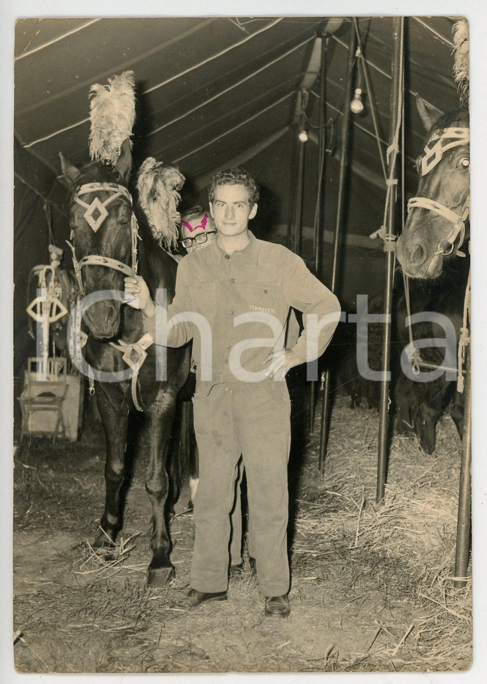 Fotografia d epoca originale 1950 ca LOMBARDIA CIRCO Operaio TERMOZETA tra i cavalli Foto CURIOSA 10x14 cm 1