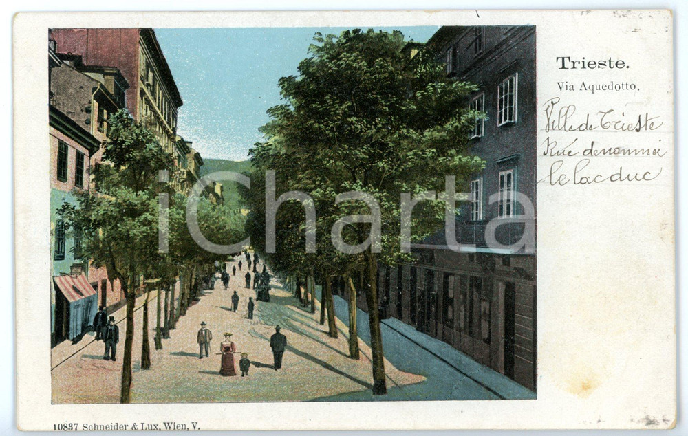 Cartolina originale da collezione 1910 ca TRIESTE Passeggiata in via dell Acquedotto Via XX Settembre Cartolina 1