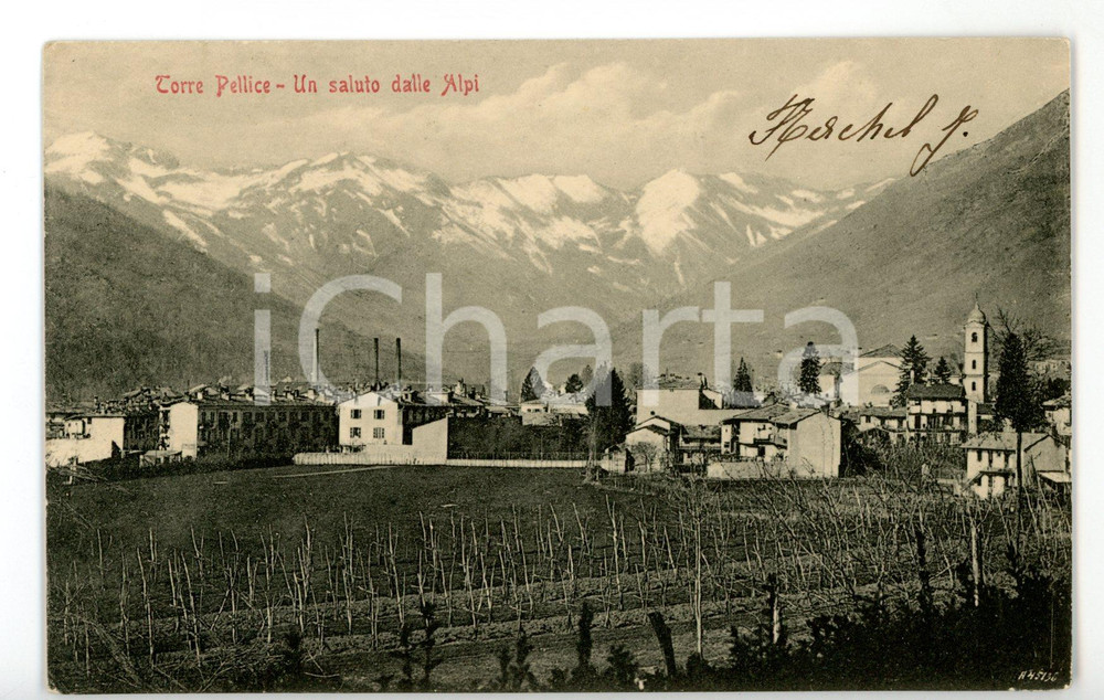Cartolina originale da collezione 1915 ca TORRE PELLICE TO Veduta del paese tra le ALPI Cartolina FP NV 1