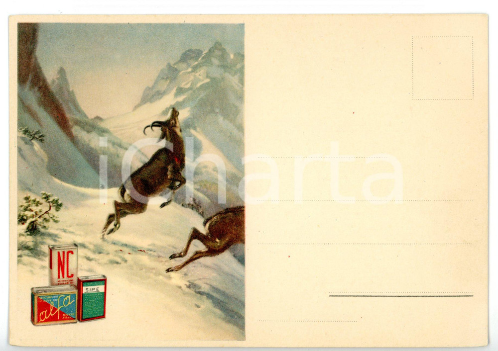 Materiale pubblicitario d’epoca 1950 ca MILANO  SIPE Polvere da sparo ALFA  NC  Cartolina ILLUSTRATA FG NV 1