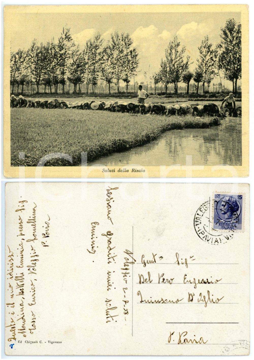 Cartolina originale da collezione 1958 VALEGGIO PV Mondine a lavoro in una risaia Cartolina VINTAGE  FG VG 1