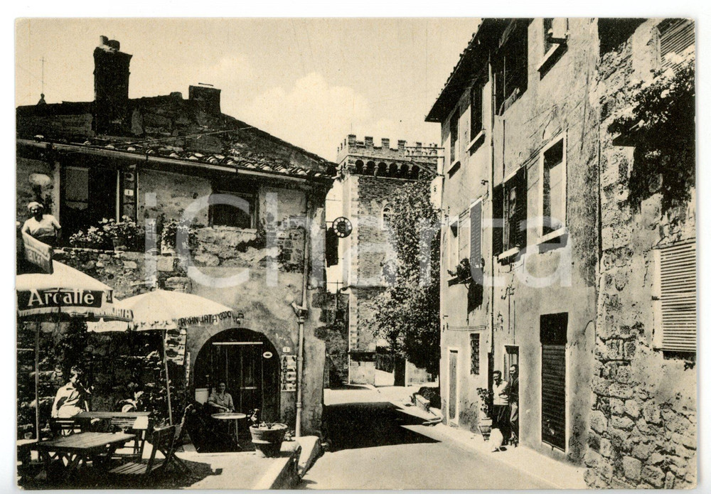 Cartolina originale da collezione 1950 ca CASTAGNETO CARDUCCI  BOLGHERI LI Via Giulia Cartolina ANIMATA  FG 1