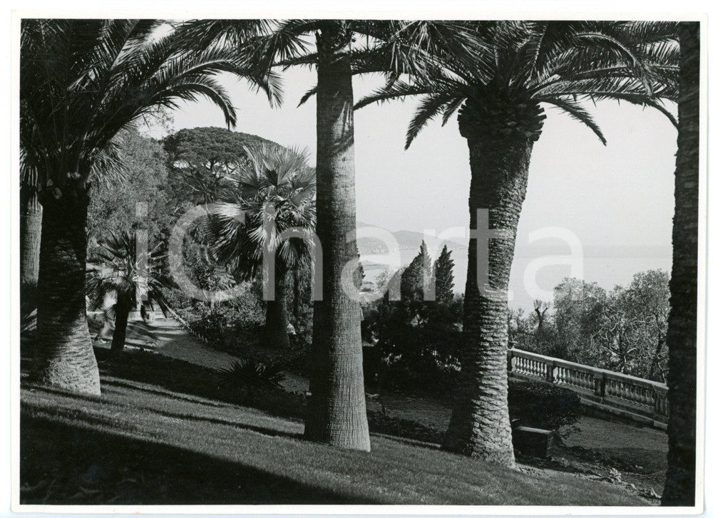 Fotografia d epoca originale 1936 SANREMO BUSSANA Villa Spinola  Scorcio del giardino Foto 23x17 cm 1