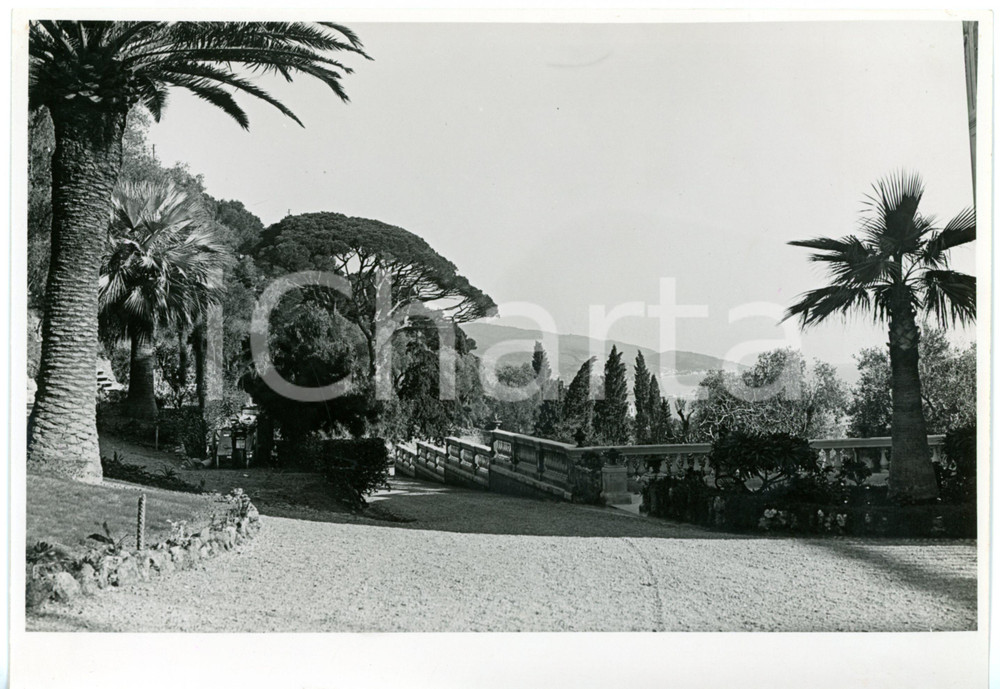 Fotografia d epoca originale 1936 SANREMO  BUSSANA Villa Spinola  Viale d ingresso Foto VINTAGE 23x17 cm 1