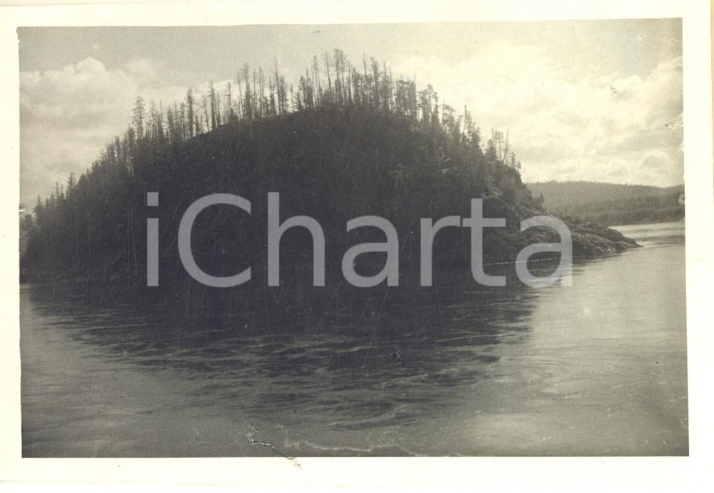 Fotografia d epoca originale 1930 SIBERIA URSS Fiume ENISEJ  Veduta della taiga  Foto 14x10 cm 1