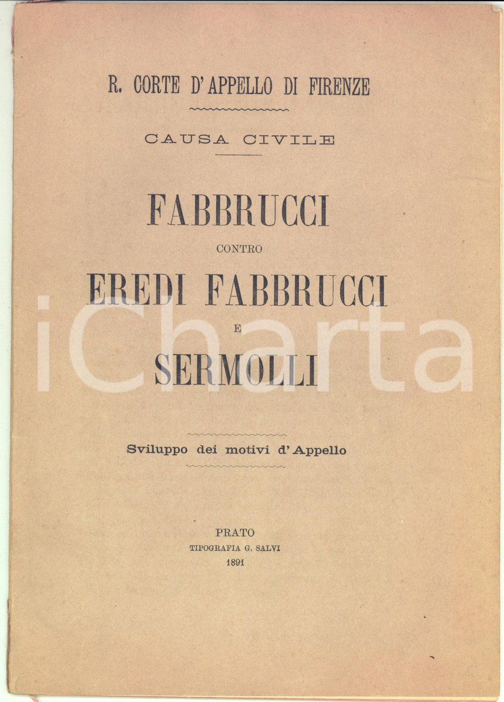 Libro, pubblicazione d epoca 1891 Corte d Appello FIRENZE  Causa FABBRUCCI contro Eredi FABBRUCCI e SERMOLLI 1