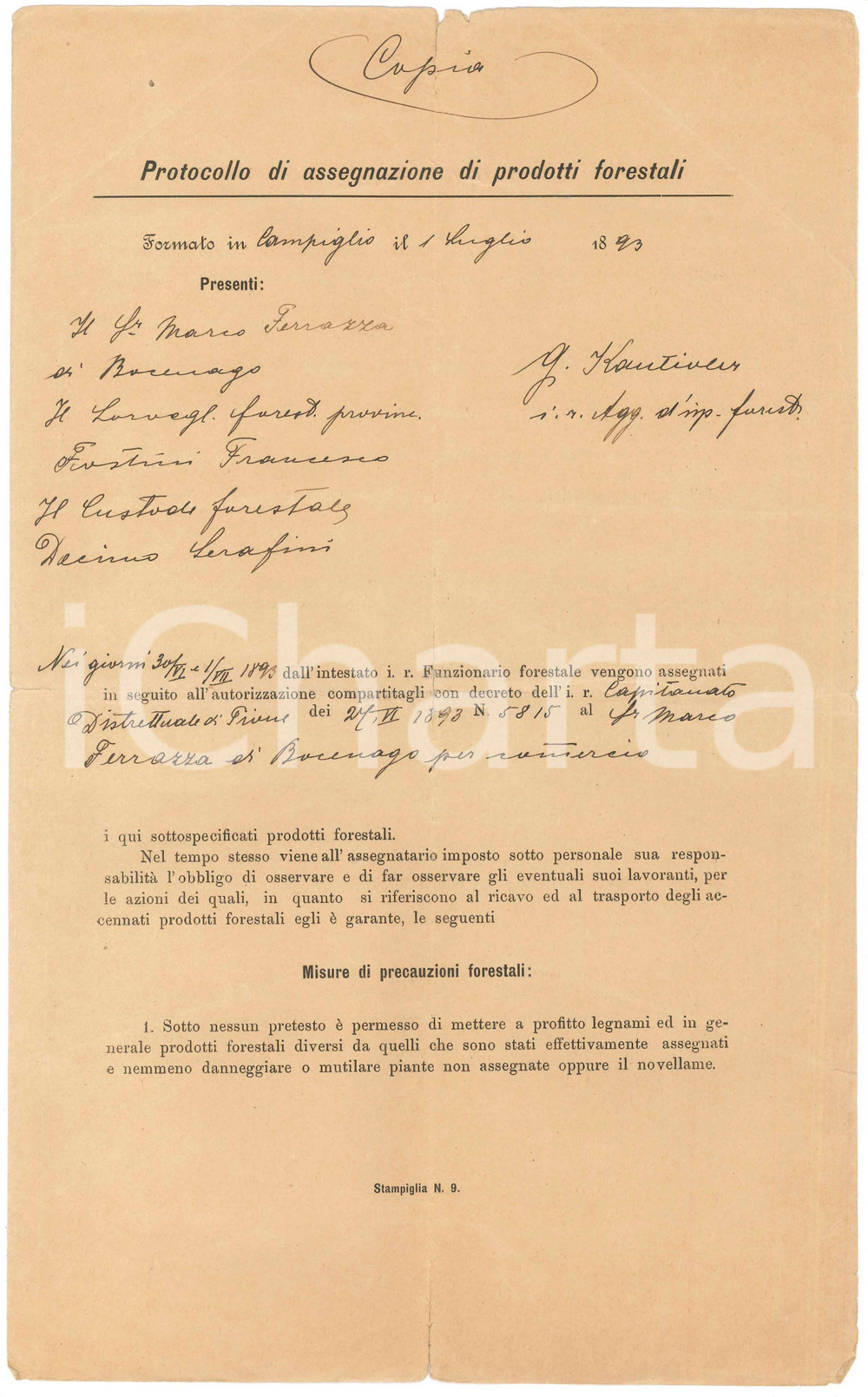 Documento originale, autentico 1893 MADONNA DI CAMPIGLIO Protocollo assegnazione prodotti forestali FERRAZZA 1