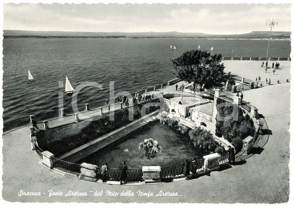 1955 SIRACUSA Fonte Aretusa nell'Isola di Ortigia - Cartolina ANIMATA FG VG