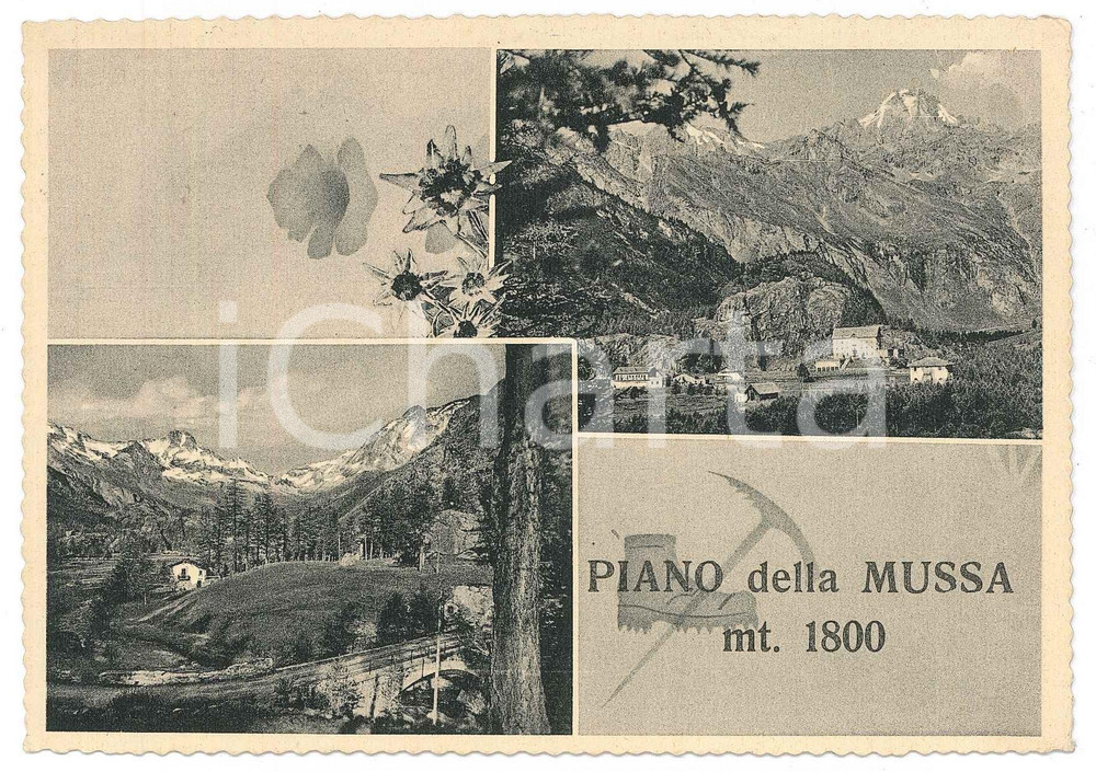 Cartolina originale da collezione 1963 ALA DI STURA Panorama di Pian della Mussa  Cartolina FG VG 1