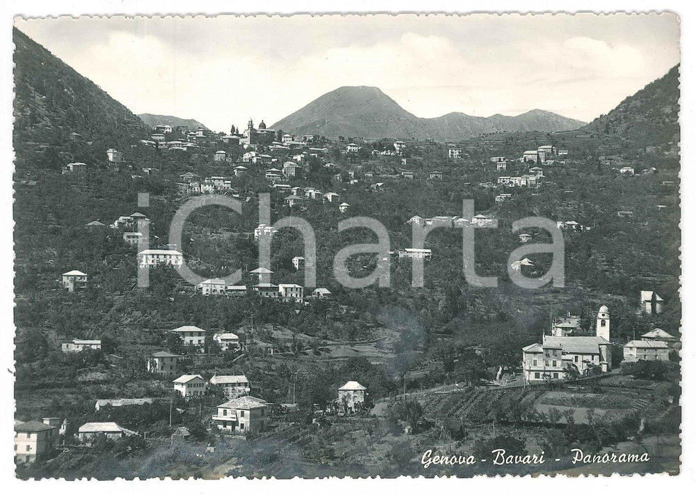Cartolina originale da collezione 1950 ca GENOVA Panorama del quartiere di Bavari  Cartolina FG NV 1