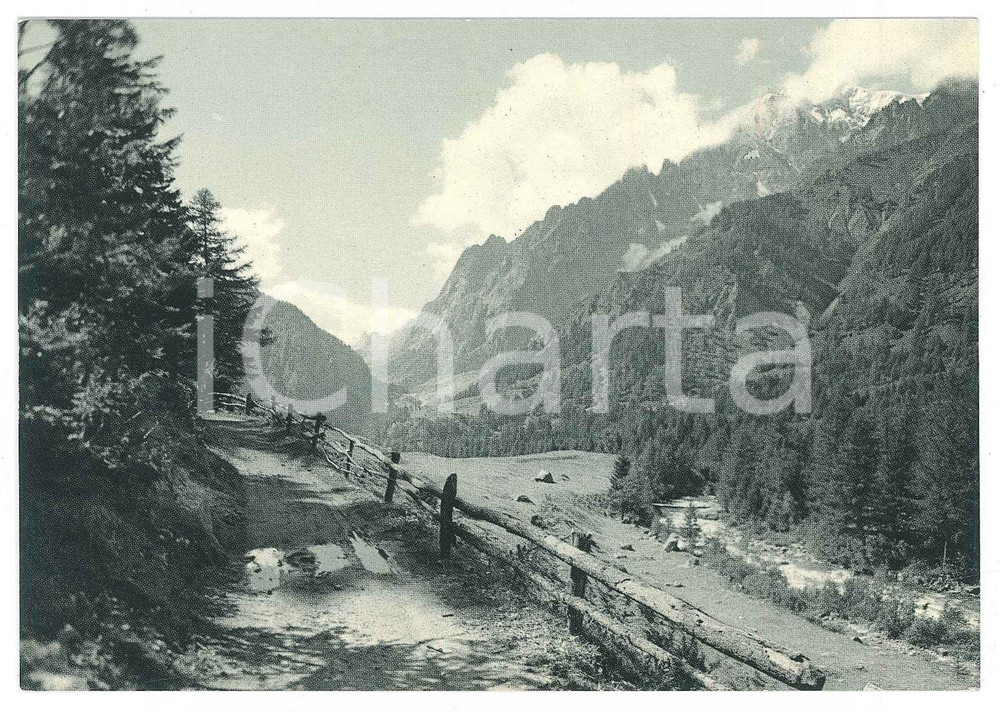 Cartolina originale da collezione 1950 ca COURMAYEUR AO Panorama della Val Ferret  Cartolina FG NV 1