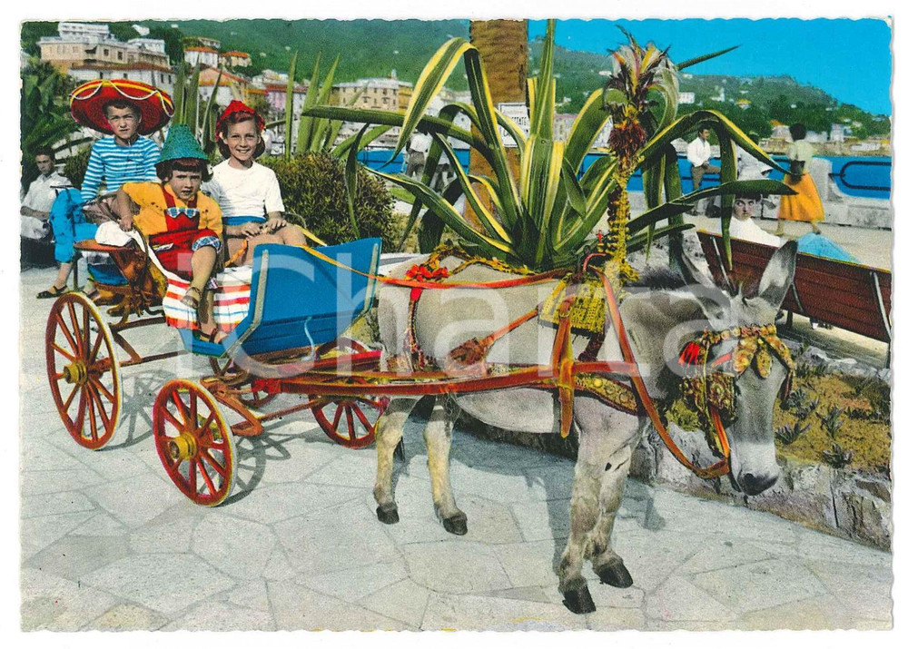 Cartolina originale da collezione 1960 ca RAPALLO GE Bambini su carretto siciliano  Cartolina ANIMATA FG VG 1