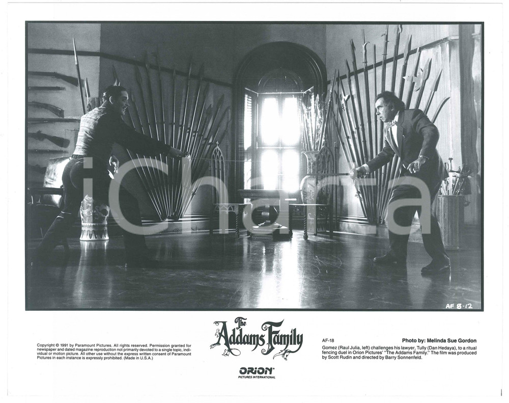 Materiale cinematografico d’epoca 1991 ADDAMS FAMILY Raul JULIA Dan HEDAYA Foto 25x20 cm 1
