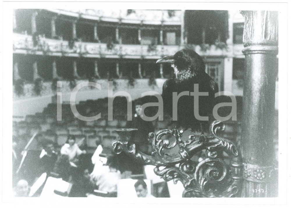 Materiale cinematografico d’epoca 1987 CINEMA  OPERA di Dario ARGENTO  Corvo  Foto 25x18 cm 1