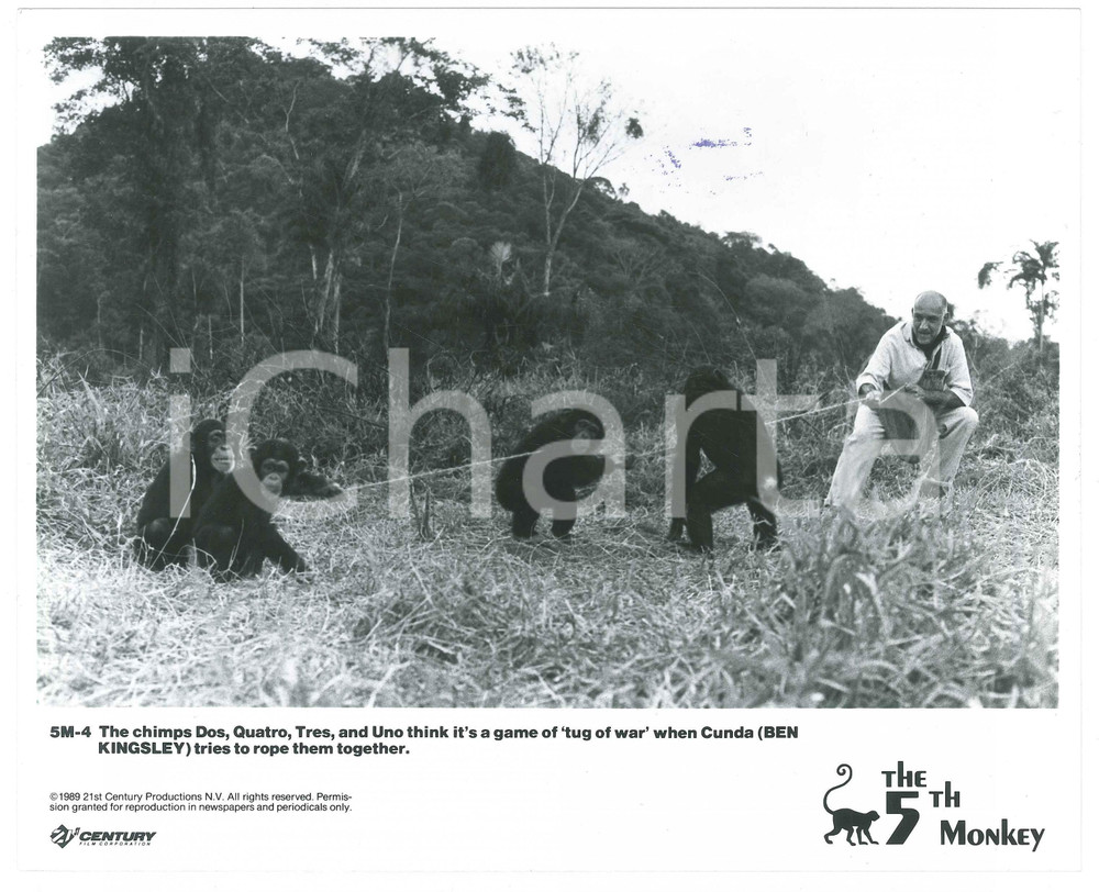 Materiale cinematografico d’epoca 1990 CINEMA  THE 5th MONKEY  O Quinto Macaco  Ben KINGSLEY  Foto 25x20 cm 1