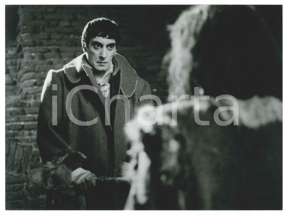 Materiale cinematografico d’epoca 1983 CINEMA  SOGNO DI UNA NOTTE D ESTATE  Flavio BUCCI  Foto 24x18 cm 1