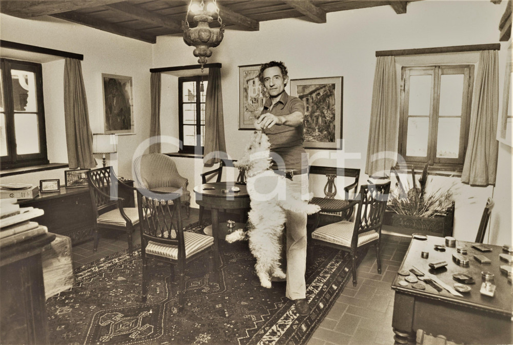 Materiale cinematografico d’epoca 1970 ca ITALIA  COSTUME Pittore gioca con barboncino  Foto 30x20 cm 1