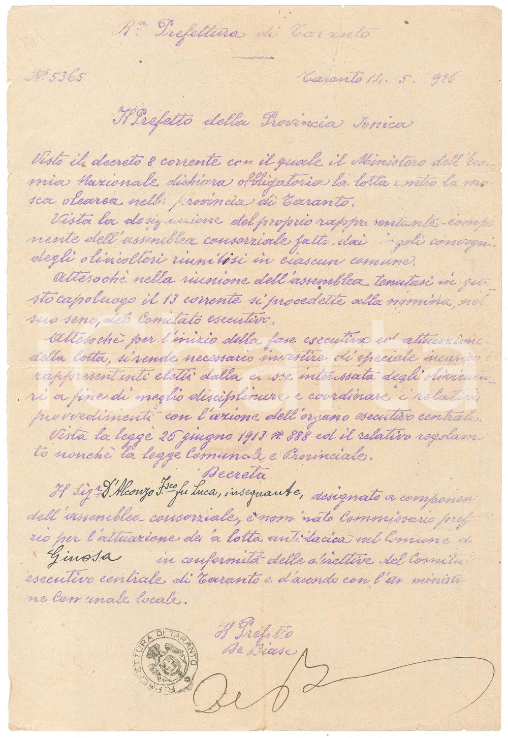 Documento originale, autentico 1926 TARANTO Nomina Francesco D ALCONZO commissario per lotta mosca olearia 1