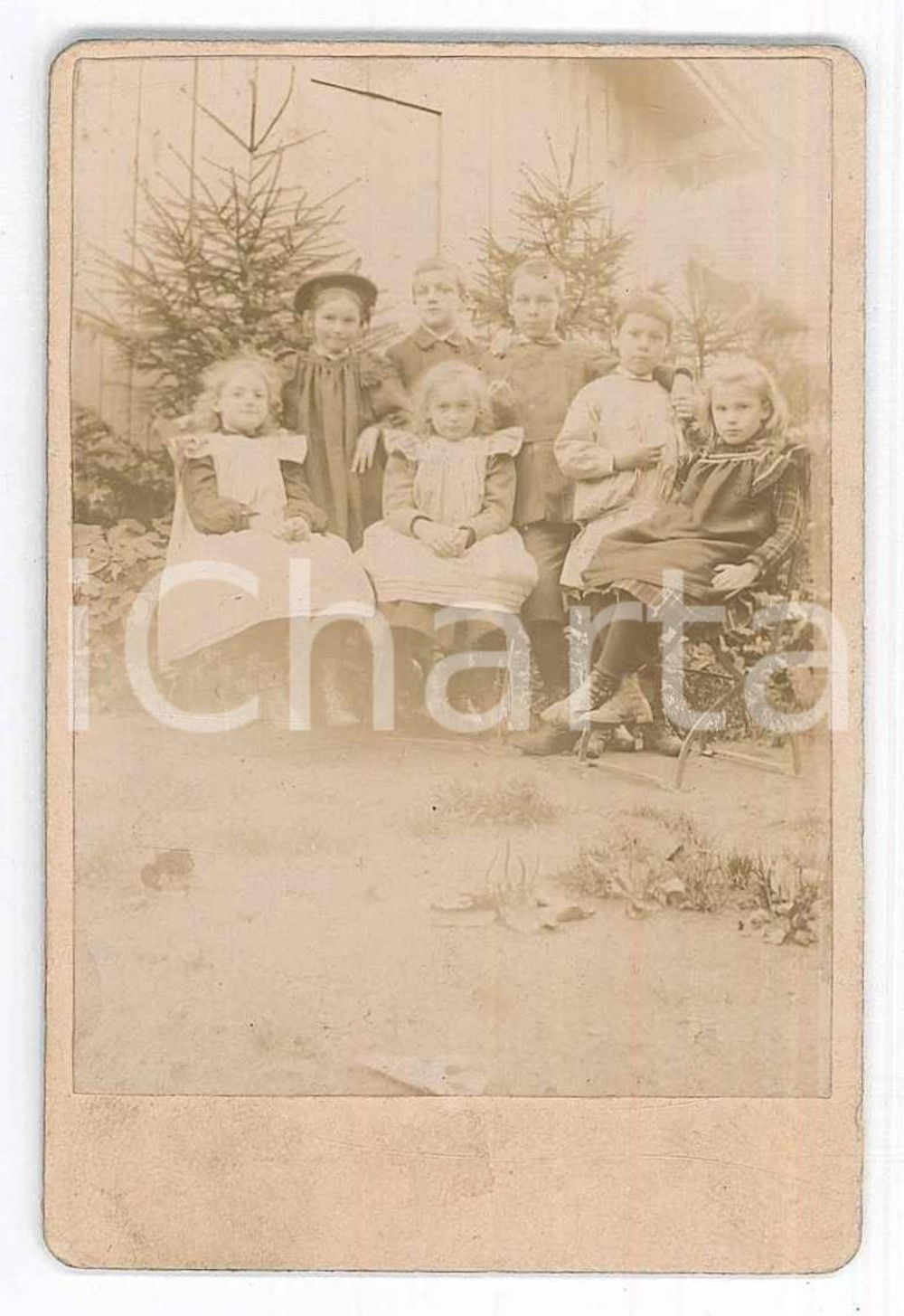 Fotografia d epoca originale 1890 ca COSTUME ALTO ADIGE Gruppo di bambini tra gli abeti Fotografia CDV 1