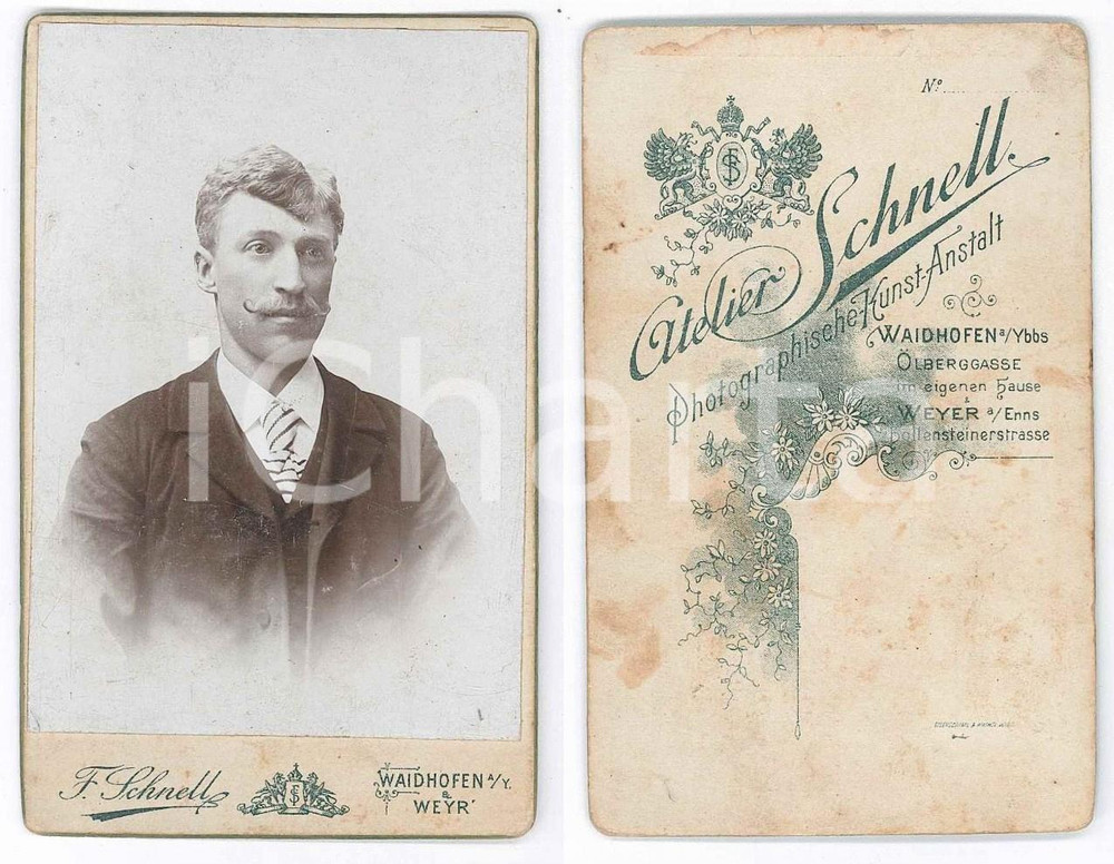 Fotografia d epoca originale 1890 ca WAIDHOFEN AN DER YBBS Uomo con cravatta a righe Foto F. SCHNELL 1