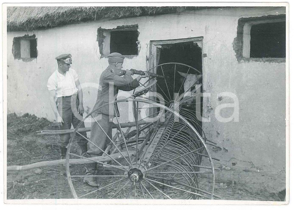 Fotografia d epoca originale 1940 ca WW2 VARSAVIA ? Ufficiali in una stalla Fotografia 10x8 cm 1