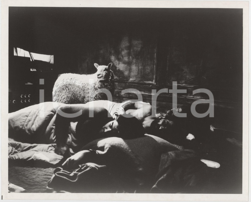 Fotografia d epoca originale 1988 CINEMA The suitors  Movie by Ghasem EBRAHIMIAN Photo 25x20 cm 1