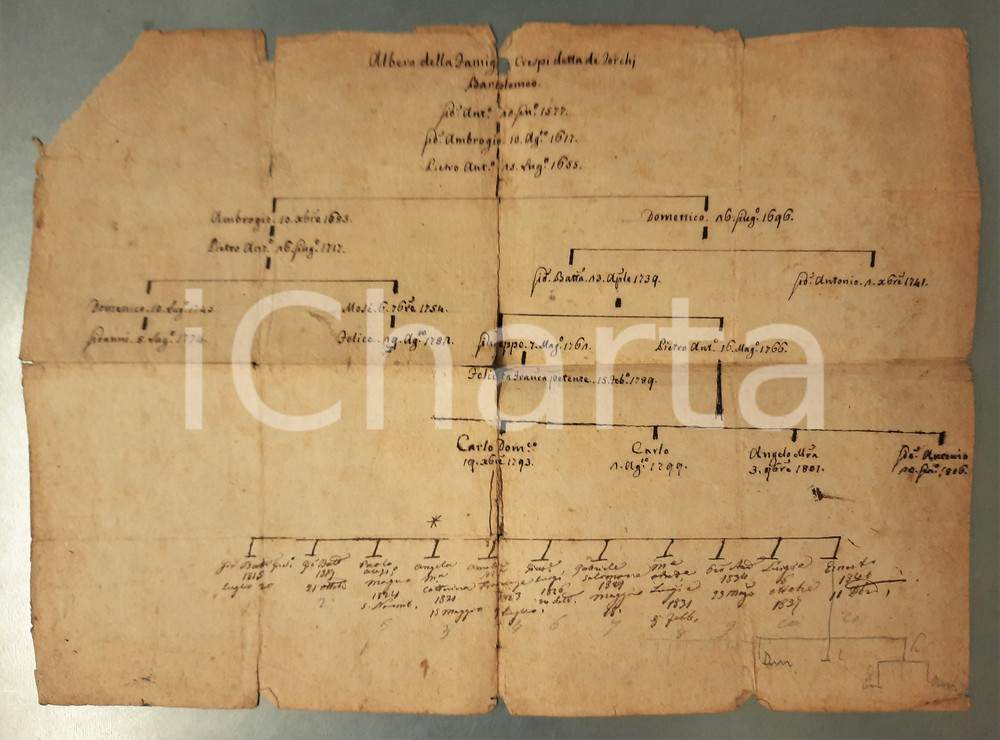 Manoscritto, lettera originale 1840 ca LOMBARDIA Albero genealogico famiglia CRESPI detta DE TORCHI Manoscritto 1