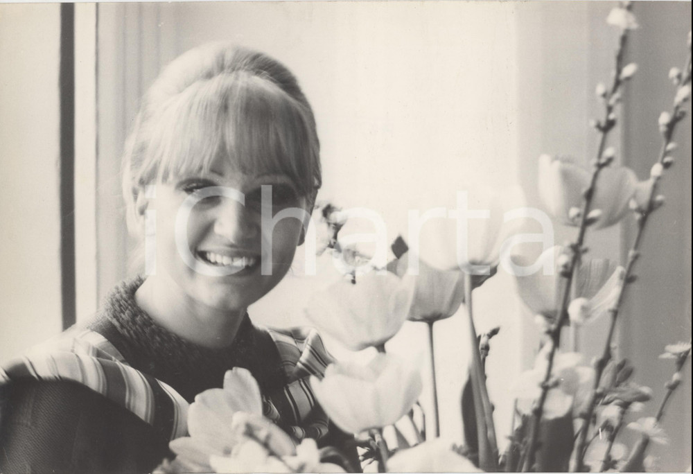 Fotografia d epoca originale 1965 ca ITALIA  MUSICA Carmen VILLANI Ritratto della cantante  Foto 30x20 cm 1