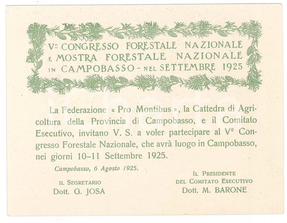 Oggetto da collezione cartaceo 1925 CAMPOBASSO V° Congresso forestale e mostra forestale  Tessera 13x10 cm 1