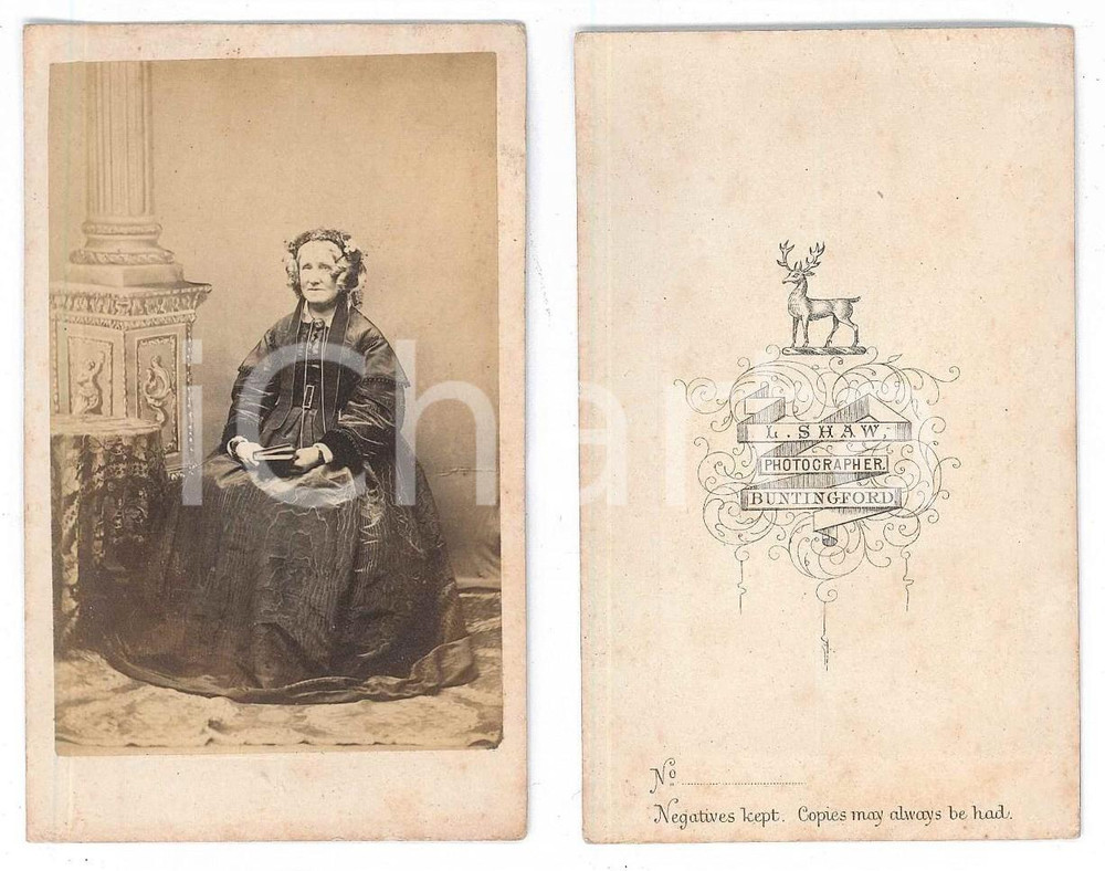 Fotografia d epoca originale 1870 ca BUNTINGFORD UK Portrait of a woman with a book  Photo L. SHAW CDV 1