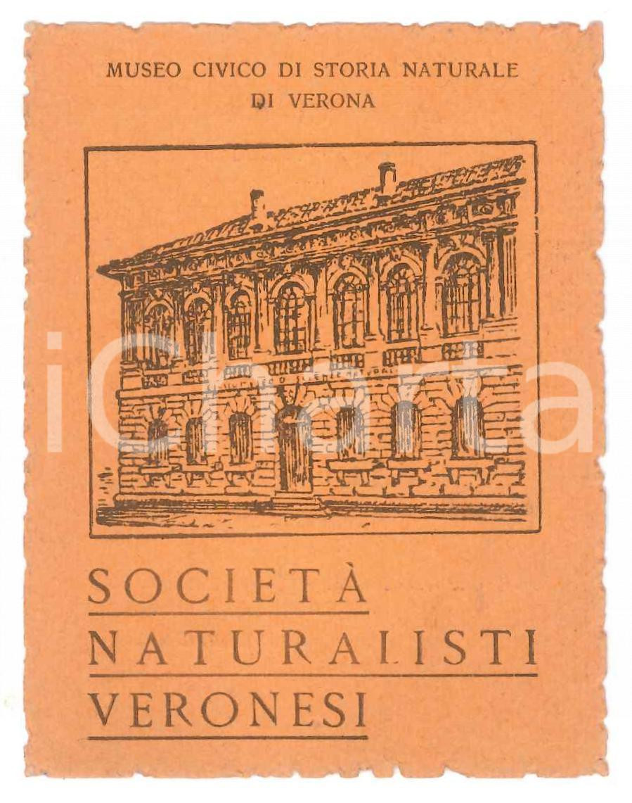Oggetto da collezione cartaceo 1951 VERONA Società Naturalisti Veronesi  Museo Civico Storia Naturale Tessera 1
