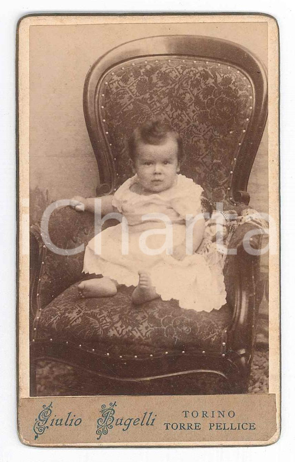 Fotografia d epoca originale 1900 ca TORINO  TORRE PELLICE Bambina su poltrona  Foto Giulio BAGELLI  CDV 1