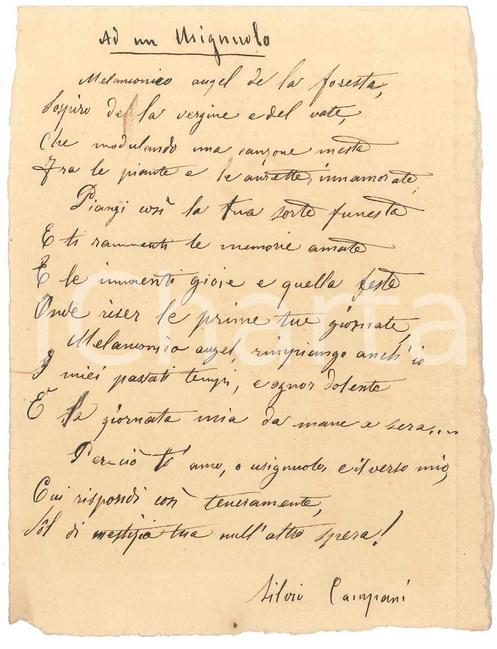 Manoscritto, lettera originale 1910 ca MODENA  Silvio CAMPANI  Ad un usignolo Lirica AUTOGRAFA 1
