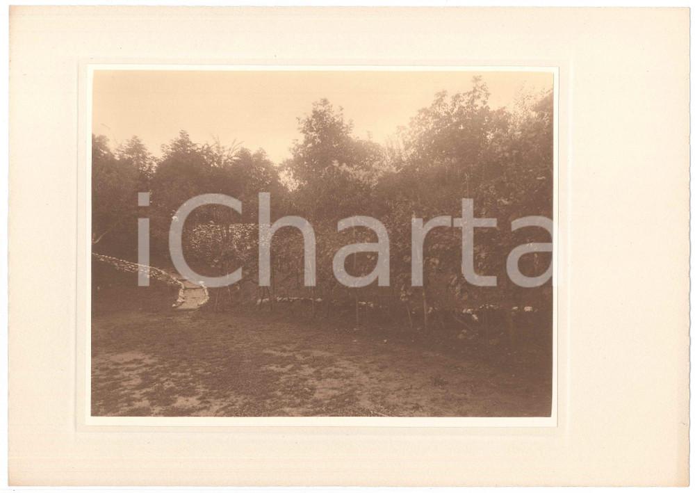 Fotografia d epoca originale 1930 ca TRIESTE ARCHITETTURA Giardino di villetta  Foto LUX ET UMBRA 3 1