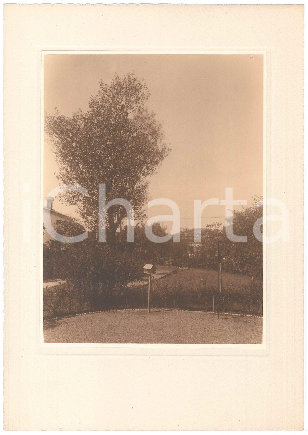 Fotografia d epoca originale 1930 ca TRIESTE ARCHITETTURA Giardino di villetta  Fotografia LUX ET UMBRA 3 1