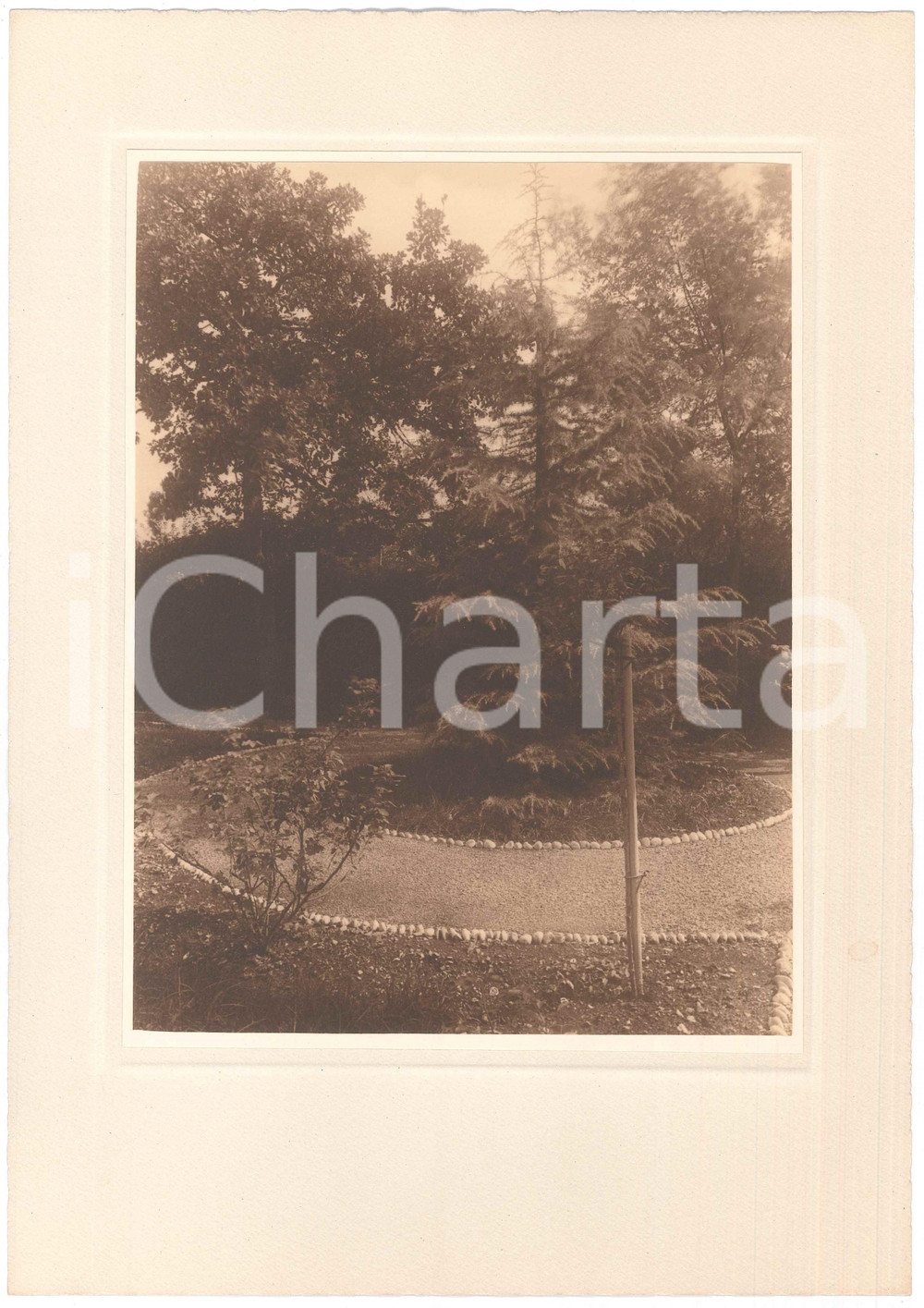 Fotografia d epoca originale 1930 ca TRIESTE ARCHITETTURA Giardino di villetta  Fotografia LUX ET UMBRA 2 1