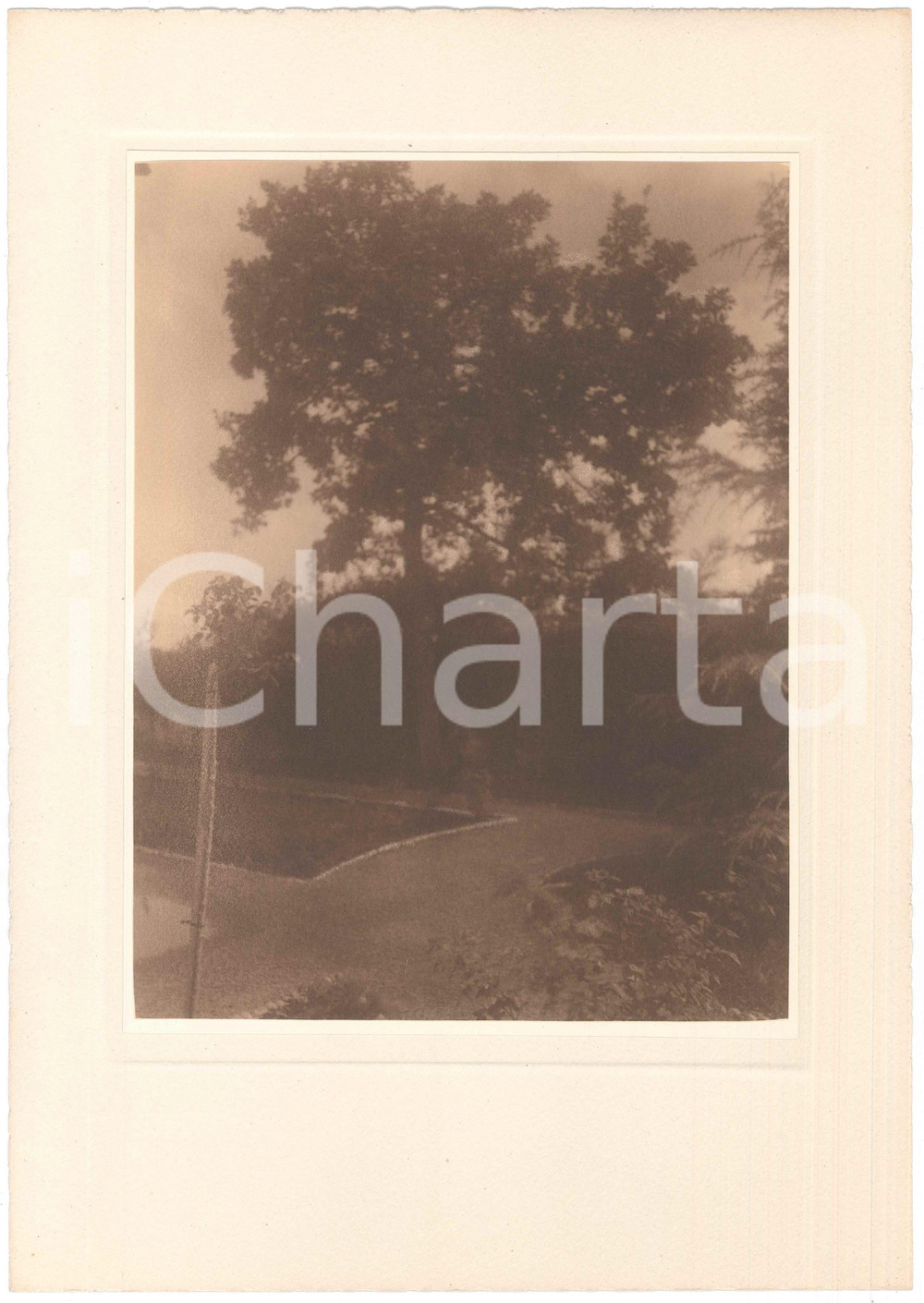 Fotografia d epoca originale 1930 ca TRIESTE ARCHITETTURA Giardino di villetta  Fotografia LUX ET UMBRA 1