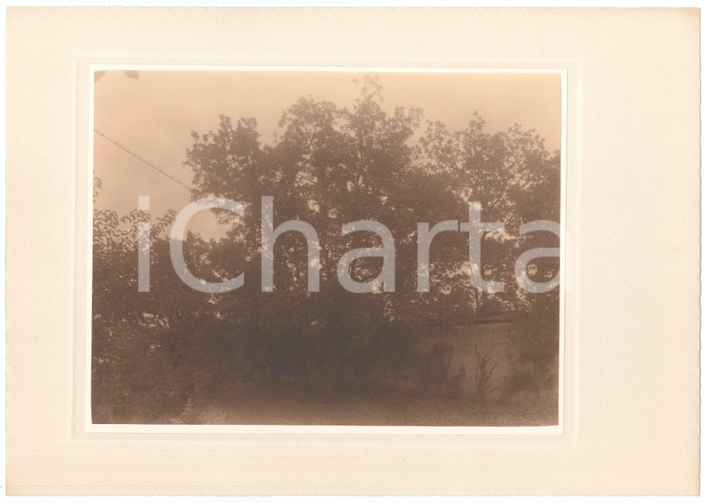 Fotografia d epoca originale 1930 ca TRIESTE ARCHITETTURA Giardino di villetta  Alberi  Foto LUX ET UMBRA 1