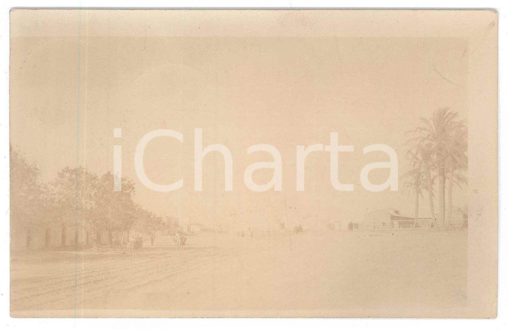 Fotografia d epoca originale 1912 LIBIA ITALIANA  HAMMANGI / TRIPOLI  Veduta panoramica  Foto 14x9 cm 1
