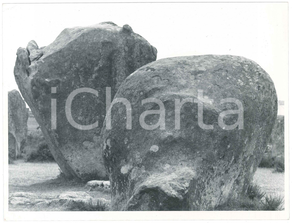 Fotografia d epoca originale 1963 CARNAC  FRANCE Les Alignements  Foto ARTISTICA 24x18 cm 4 1