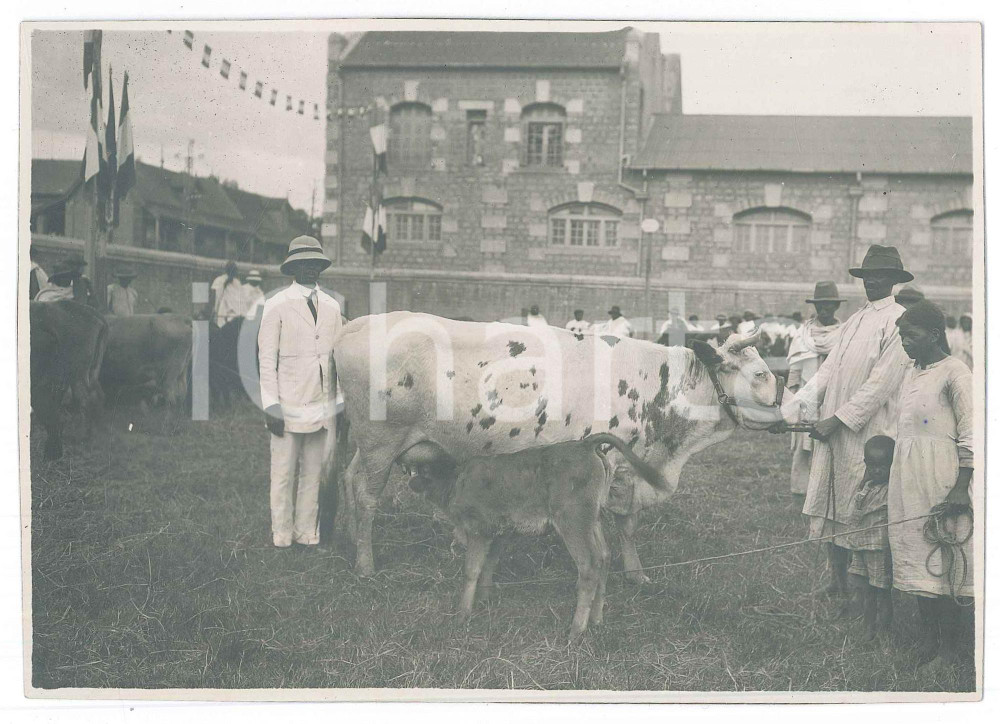 Fotografia d epoca originale 1935 ca ANTANANARIVO MADAGASCAR Rizerie d ANTANIMENA  Fiera bestiame Foto 2 1