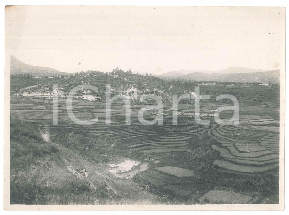 Fotografia d epoca originale 1935 ca MADAGASCAR  AGRICOLTURA  Risaie terrazzate  Foto 18x13 cm 1