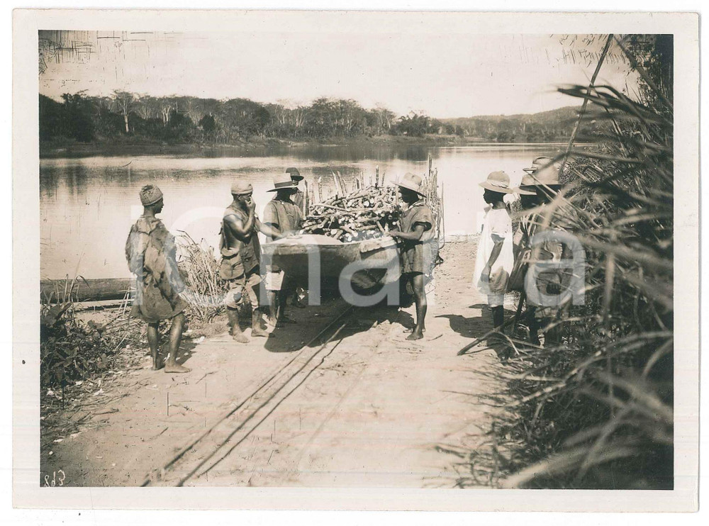 Fotografia d epoca originale 1935 ca MADAGASCAR Trasporto della canna da zucchero  Foto 18x13 cm 1