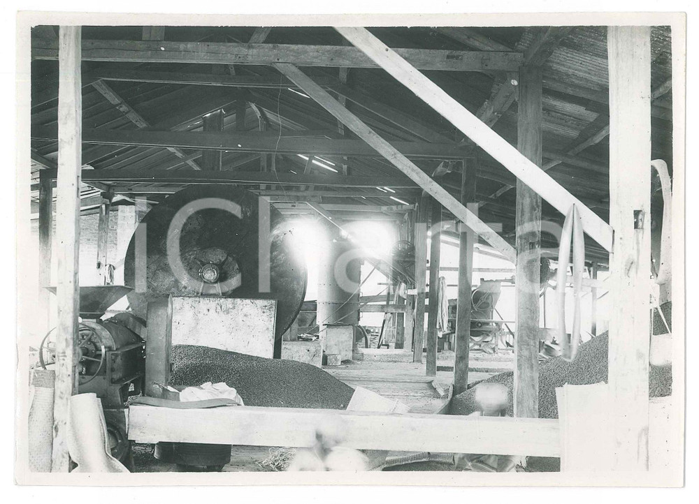 Fotografia d epoca originale 1935 ca MADAGASCAR  Macchinari in un azienda agricola  Foto 18x13 cm 1